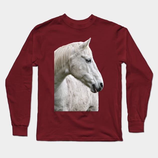 photo horse max Long Sleeve T-Shirt by mystudiocreate